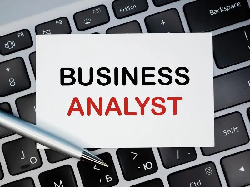 Business Analyst / Accountant